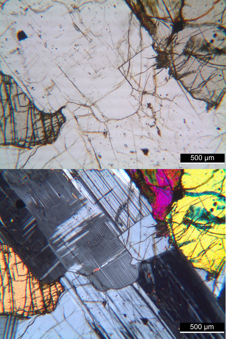 Polarisationsmikroskopie: "Olivin-Monzonit" aus dem Monzoni-Tal, Tirol