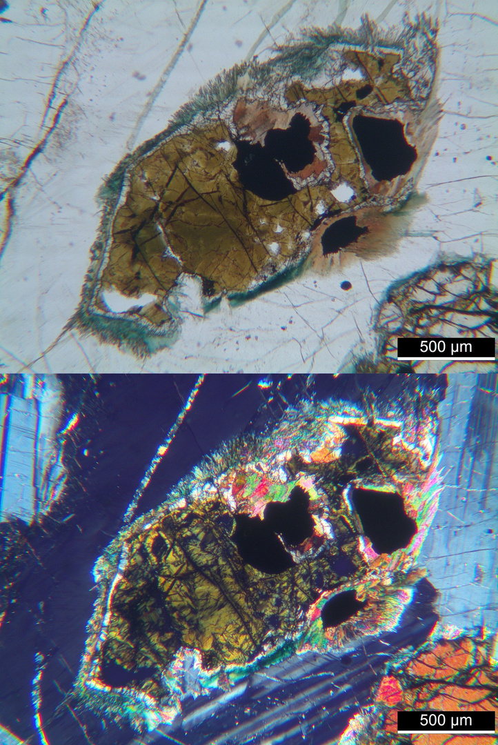 Polarisationsmikroskopie: "Olivin-Monzonit" aus dem Monzoni-Tal, Tirol