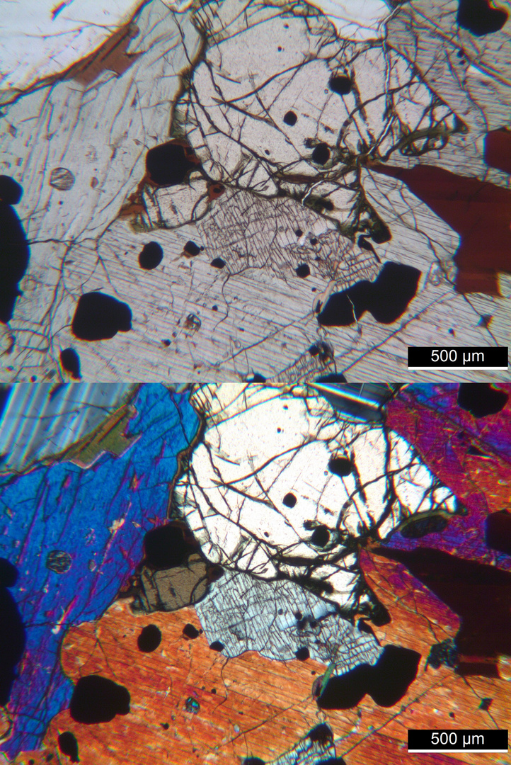 Polarisationsmikroskopie: "Olivin-Monzonit" aus dem Monzoni-Tal, Tirol