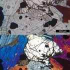 Polarisationsmikroskopie: "Olivin-Monzonit" aus dem Monzoni-Tal, Tirol