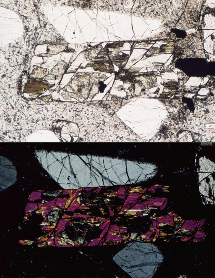 Polarisationsmikroskopie: Pigeonit und Plagioklas in Rhyodacit