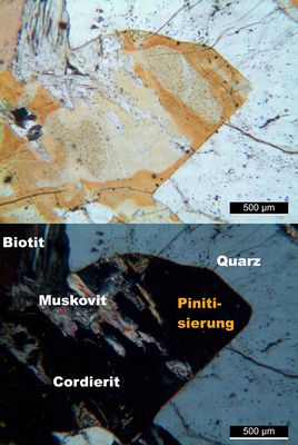 Polarisationsmikroskopie: Pinitisierter Cordierit in Cordieritgneis