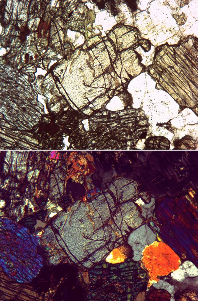 Polarisationsmikroskopie: Pyroxene und Plagioklas in Gabbro