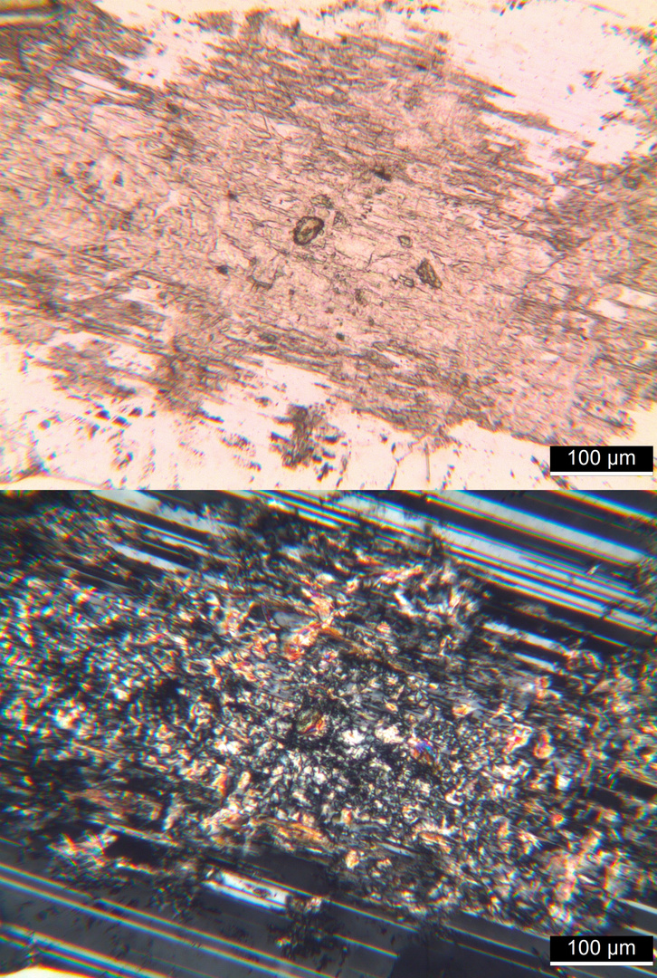 Polarisationsmikroskopie: Quarzdiorit aus dem Odenwald