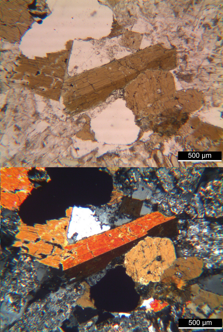 Polarisationsmikroskopie: Quarzglimmerdiorit von Klausen, Tirol