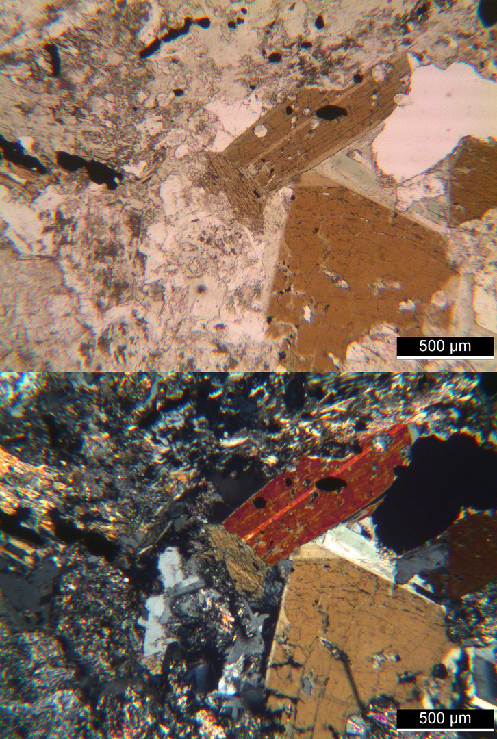 Polarisationsmikroskopie: Quarzglimmerdiorit von Klausen, Tirol
