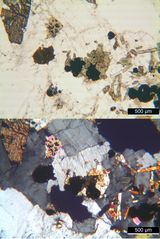 Polarisationsmikroskopie: Rhombenfeldspat-Syenit (Larvikit) vom Langesund-Fjord