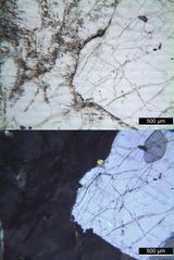 Polarisationsmikroskopie: Rhombenfeldspat-Syenit (Larvikit) vom Langesund-Fjord