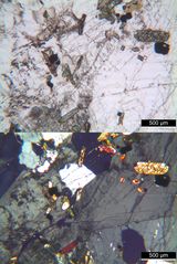Polarisationsmikroskopie: Rhombenfeldspat-Syenit (Larvikit) vom Langesund-Fjord