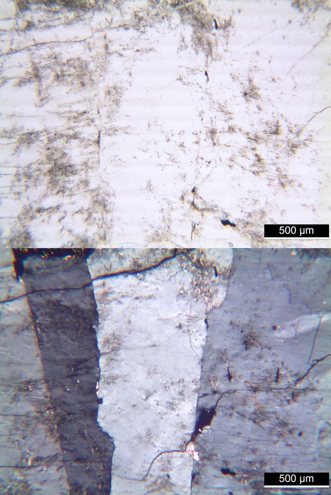 Polarisationsmikroskopie: Rhombenfeldspat-Syenit (Larvikit) vom Langesund-Fjord