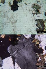 Polarisationsmikroskopie: Rhombenfeldspat-Syenit (Larvikit) vom Langesund-Fjord