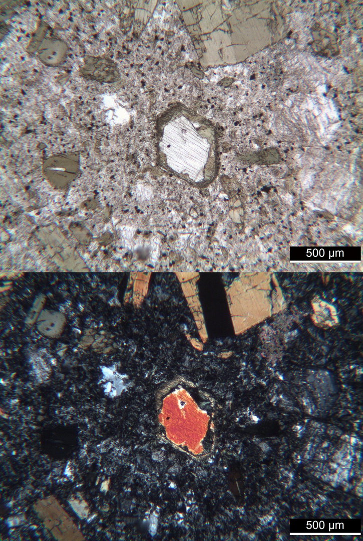 Polarisationsmikroskopie: Suldenit (Dioritporphyrit) aus Südtirol