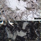 Polarisationsmikroskopie: Suldenit (Dioritporphyrit) aus Südtirol