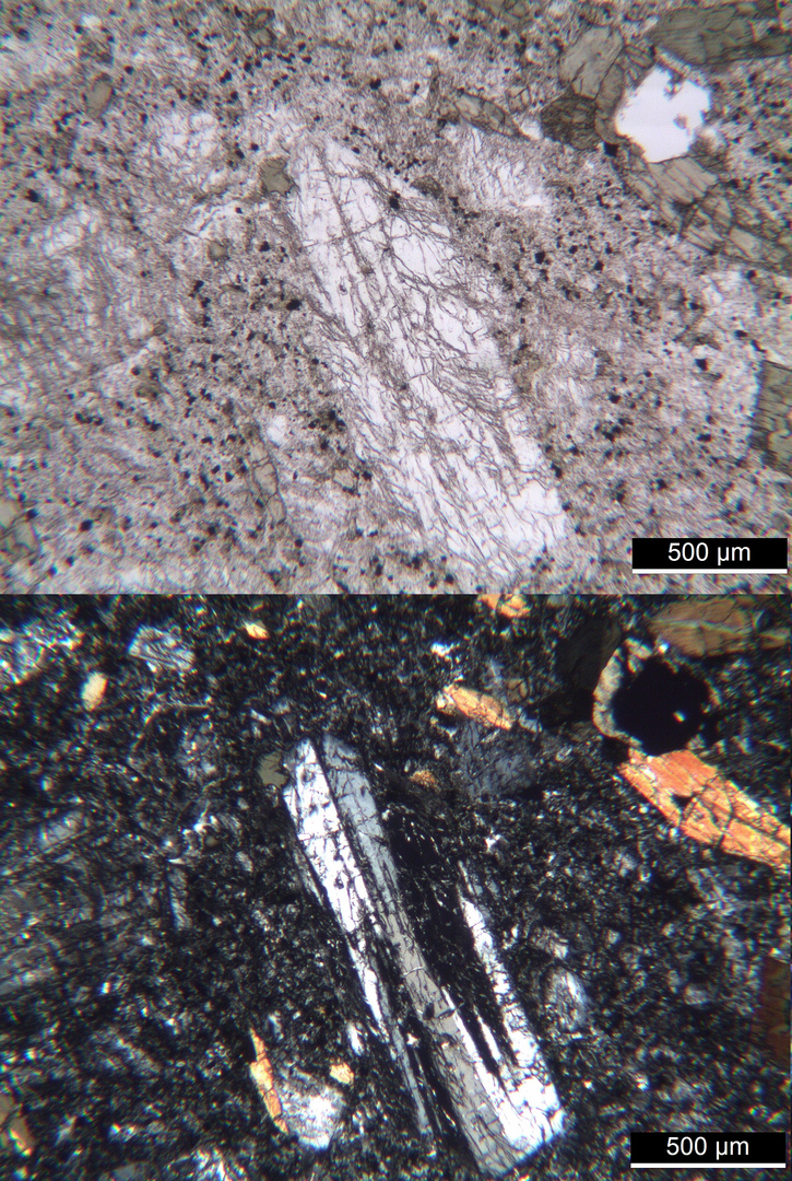 Polarisationsmikroskopie: Suldenit (Dioritporphyrit) aus Südtirol