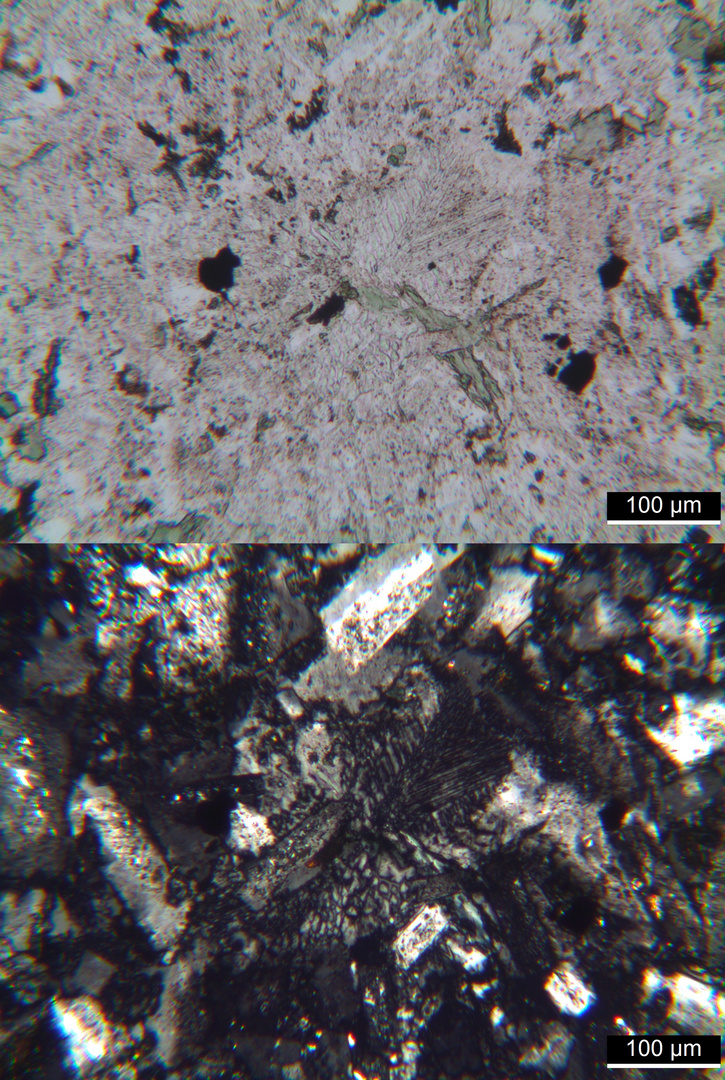 Polarisationsmikroskopie: Syenitporphyr aus den Vogesen