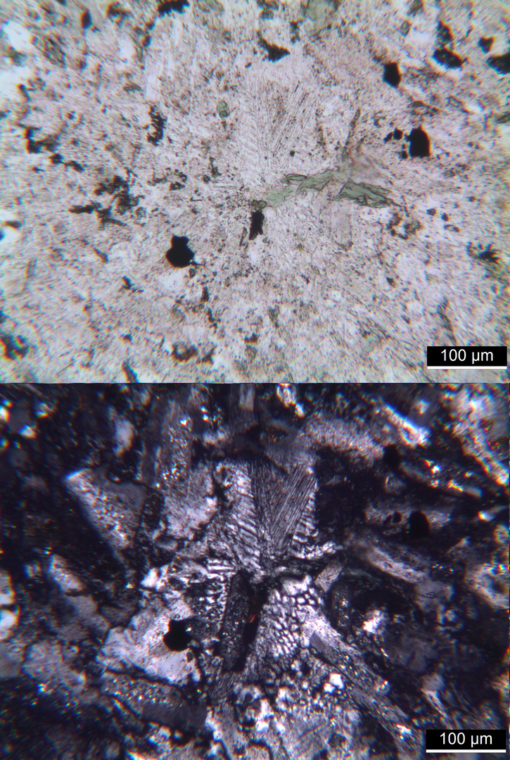 Polarisationsmikroskopie: Syenitporphyr aus den Vogesen