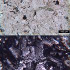 Polarisationsmikroskopie: Syenitporphyr aus den Vogesen