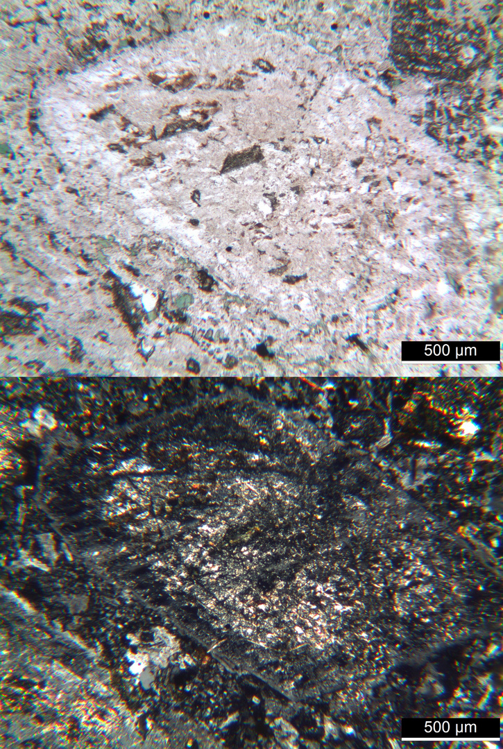 Polarisationsmikroskopie: Syenitporphyr aus den Vogesen