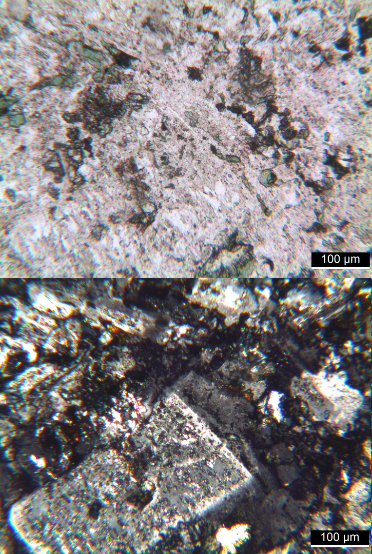 Polarisationsmikroskopie: Syenitporphyr aus den Vogesen