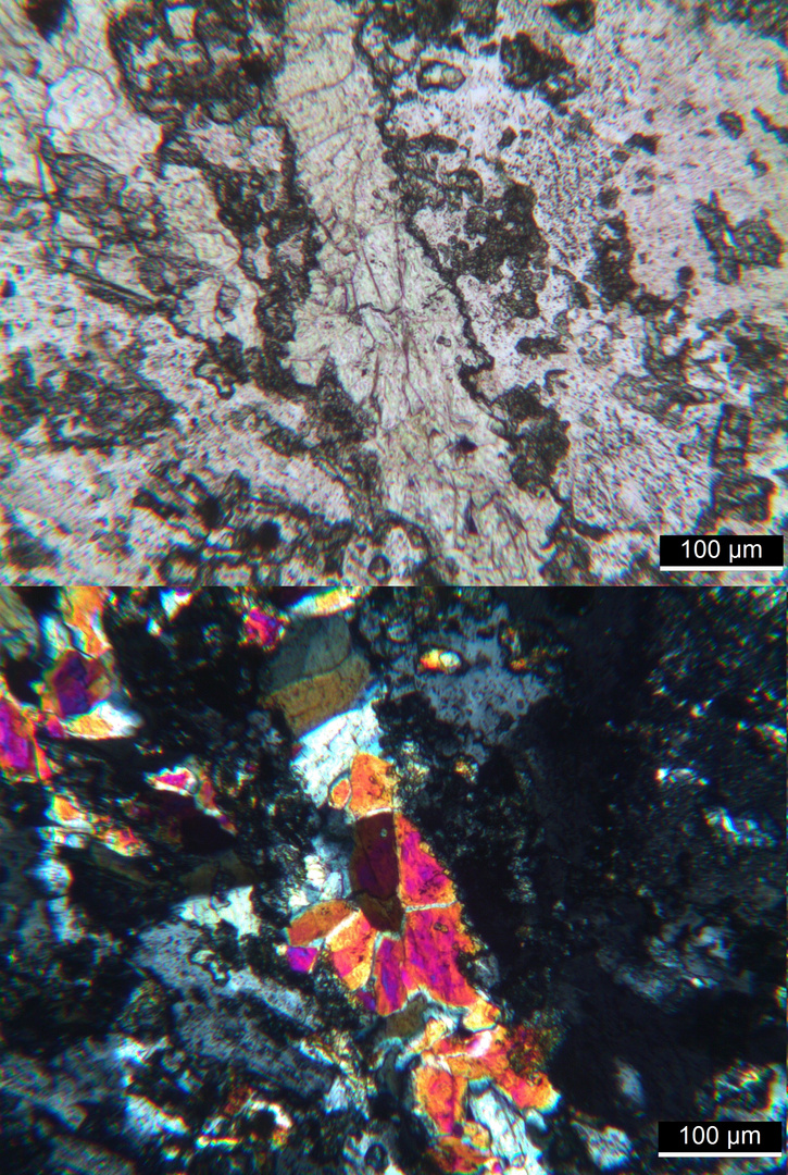 Polarisationsmikroskopie: Syenitporphyr aus den Vogesen