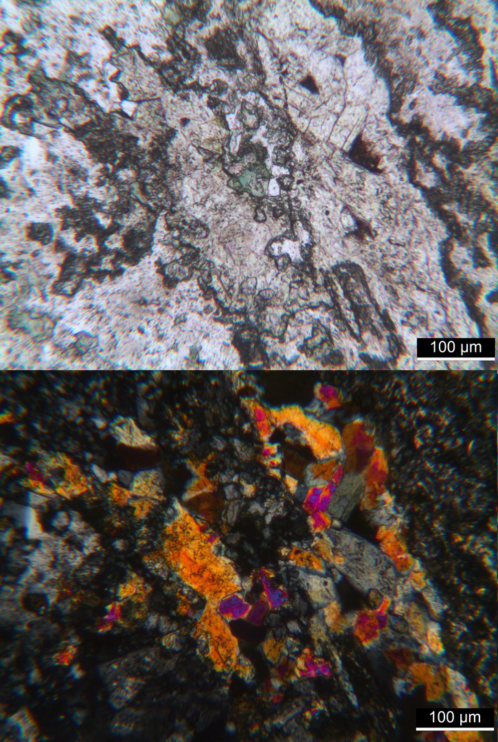 Polarisationsmikroskopie: Syenitporphyr aus den Vogesen