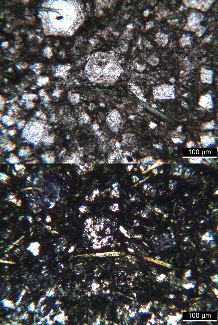 Polarisationsmikroskopie: Tinguait von Alnö, Schweden