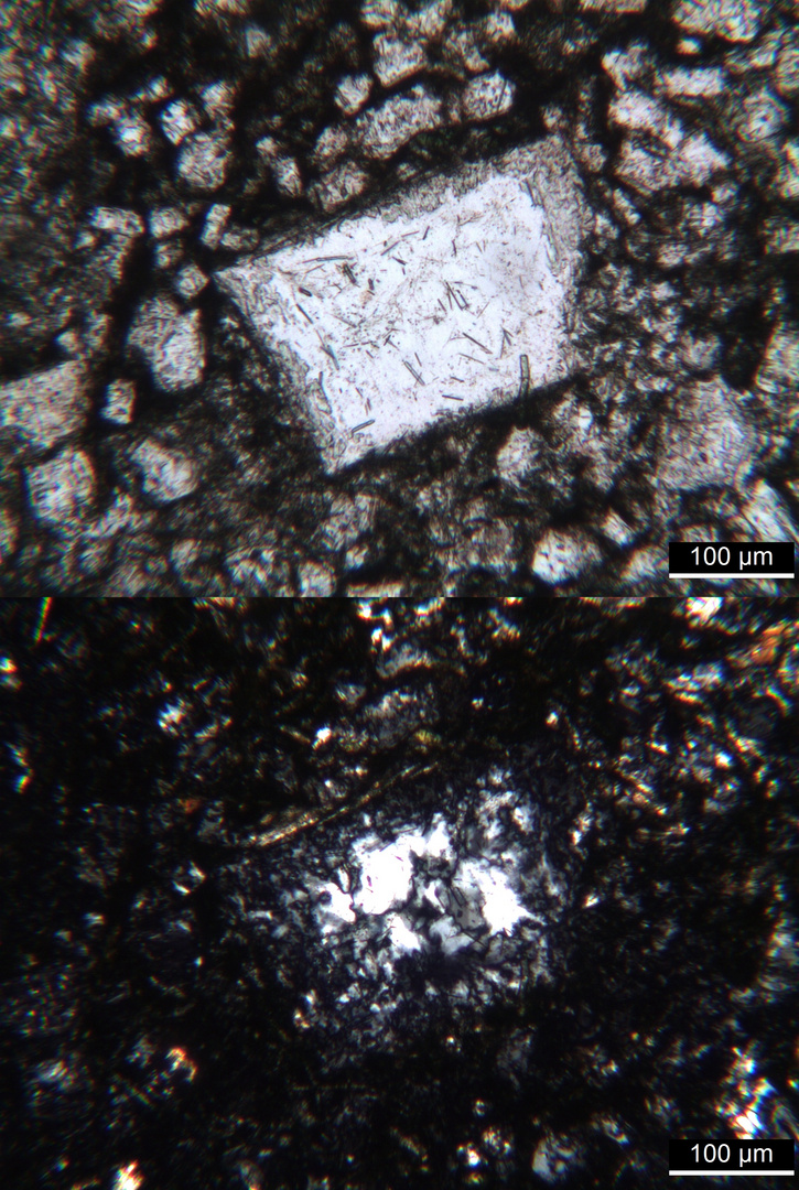 Polarisationsmikroskopie: Tinguait von Alnö, Schweden