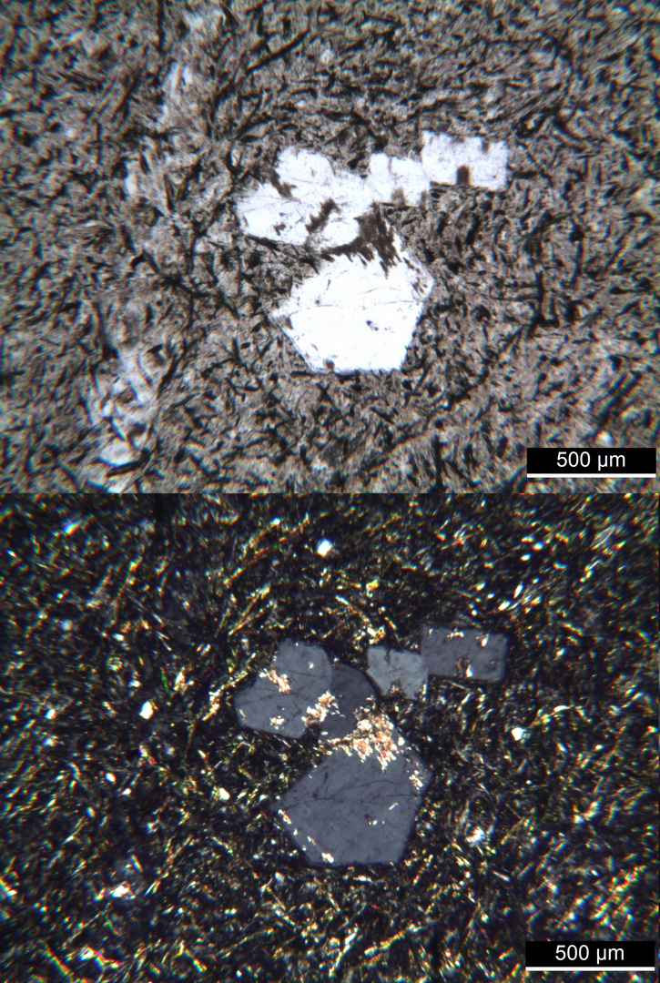 Polarisationsmikroskopie: Tinguait von Rio de Janeiro, Brasilien