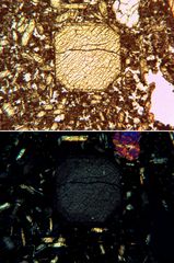 Polarisationsmikroskopie: Titanaugit in Nephelinbasalt