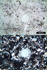 Polarisationsmikroskopie: Topasierter Quarzporphyr