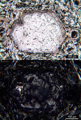 Polarisationsmikroskopie: "Trachydolerit" (= Hauyntephrit) aus dem Dobrankatal, Böhmen