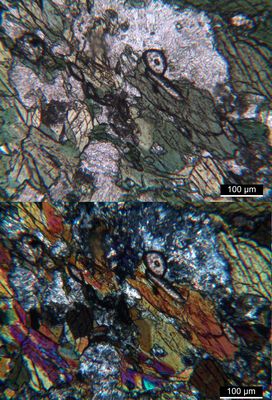 Polarisationsmikroskopie: typischer Amphibolit