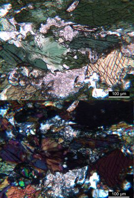 Polarisationsmikroskopie: typischer Amphibolit