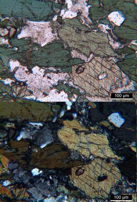 Polarisationsmikroskopie: typischer Amphibolit