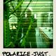 polarize-just.for.fun