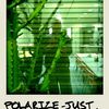 polarize-just.for.fun