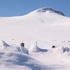 Polarkreis/Saltfjell (5)