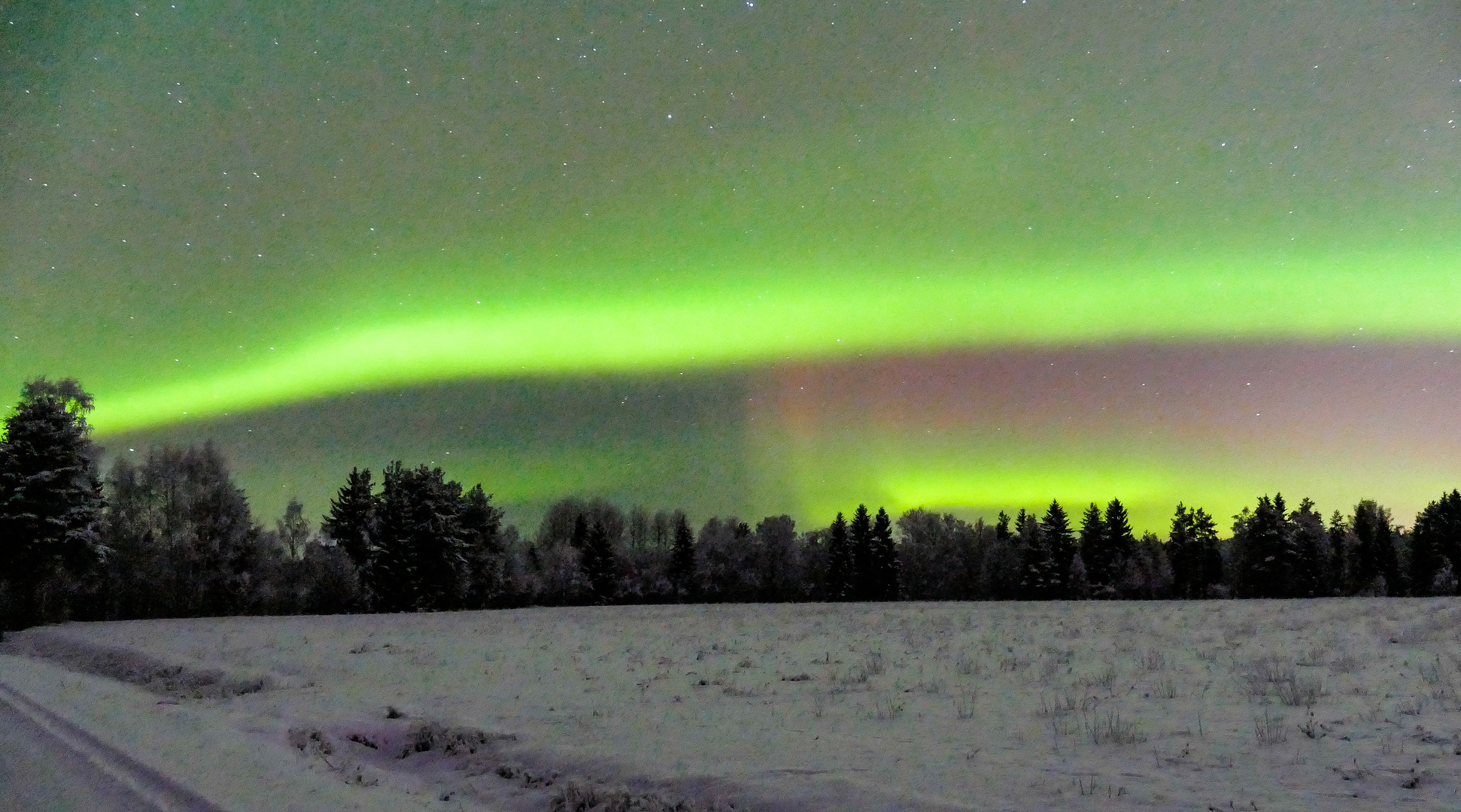 Polarlicht am Abend in Nordschweden
