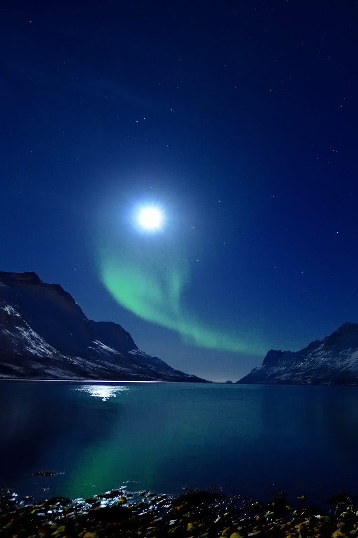 Polarlicht am Ersfjord nahe Tromsö März 2012