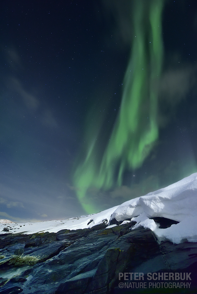 Polarlicht am Lillefjord....