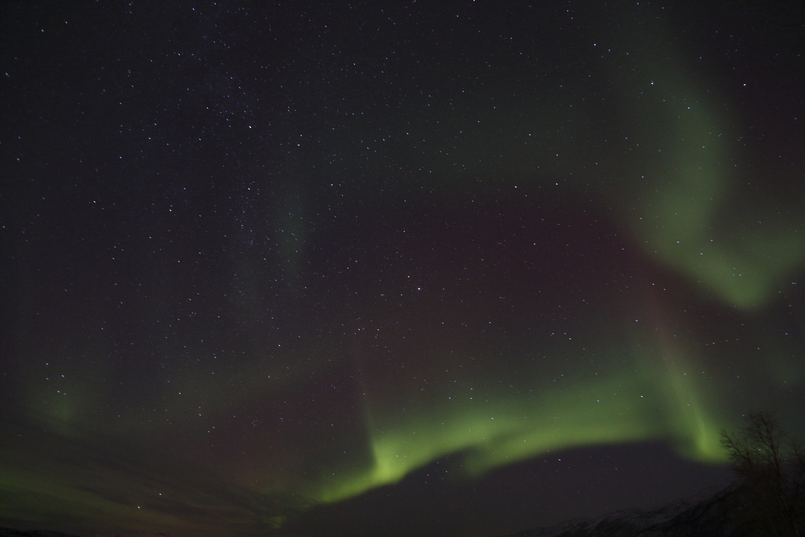 Polarlicht bei Tromsö IV AURORA BOREALIS