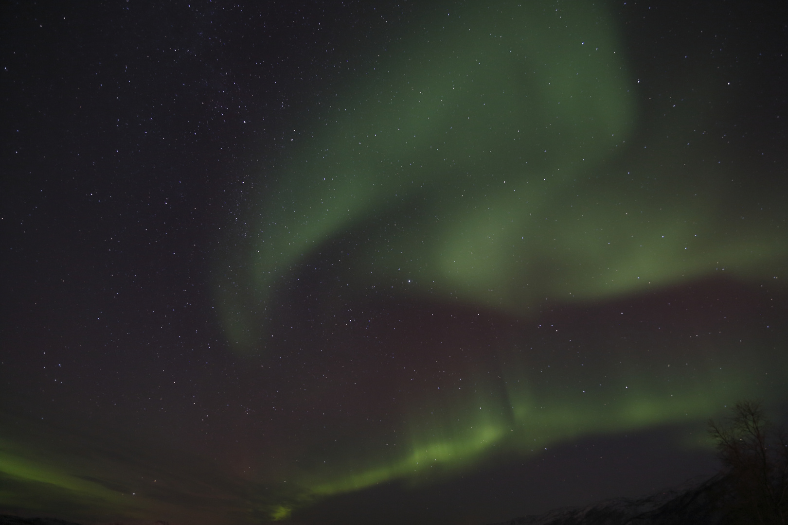 Polarlicht bei Tromsö V AURORA BOREALIS