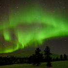 Polarlicht im Pallasgebirge in Finnland, Gemeinde Muonio