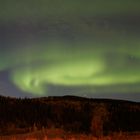 Polarlicht in Dawson (Yukon)