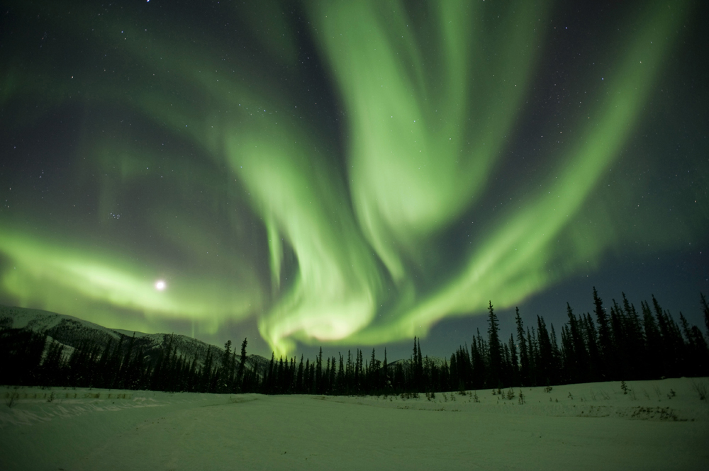 Polarlicht in den Brooks Mountains