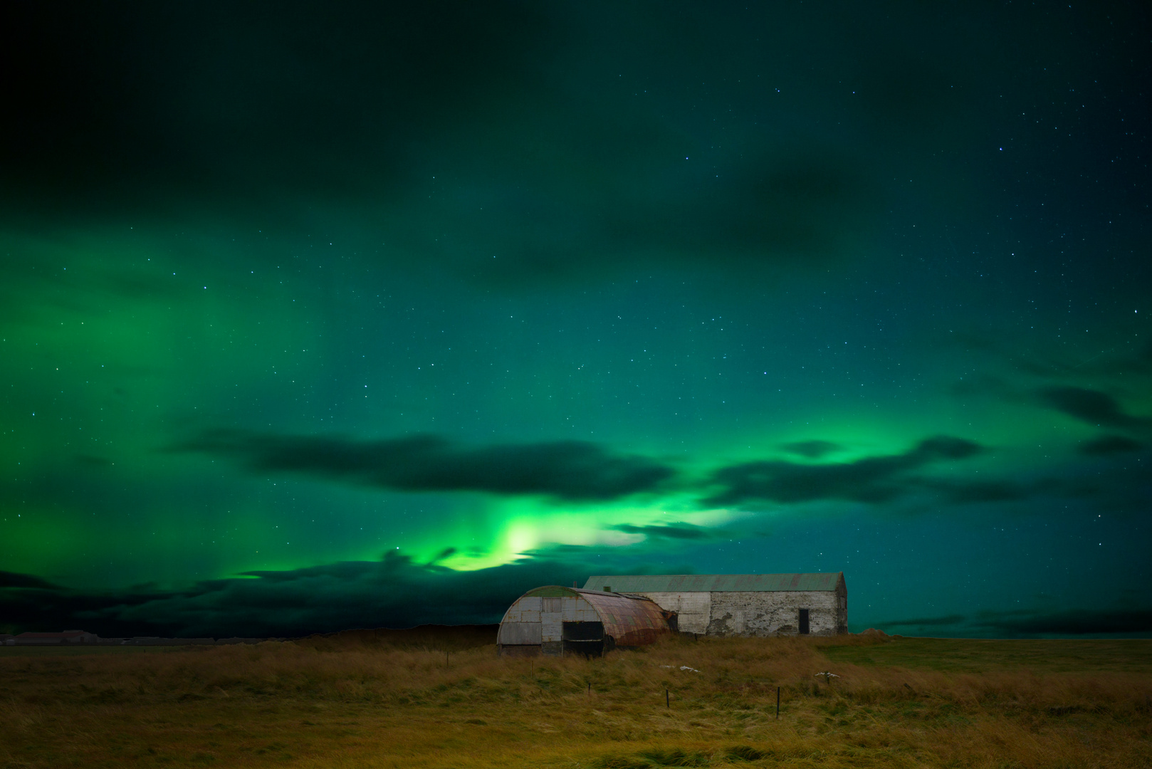 Polarlicht in den Westfjorden