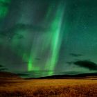 Polarlicht in den Westfjorden