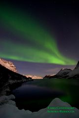 Polarlicht in der Eisbergbucht bei Modaufgang