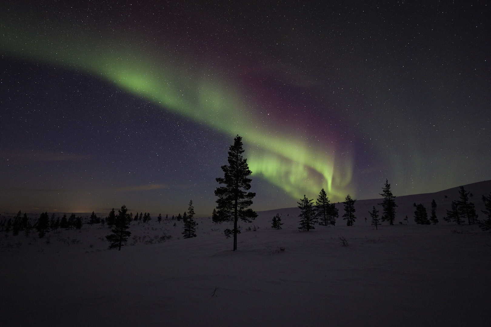 Polarlicht in Kiilopää 