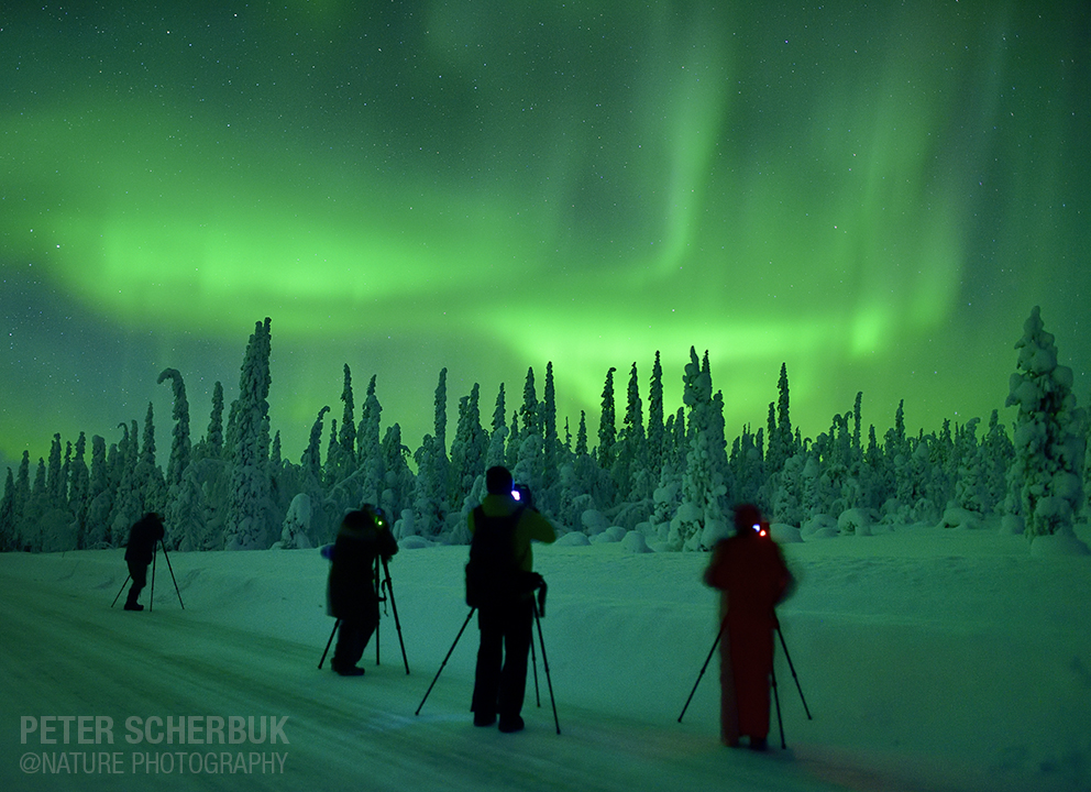 Polarlicht in Lappland